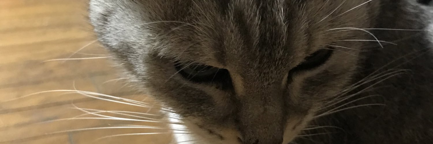 🐡さかな・にく・やさい好き🍖 banner