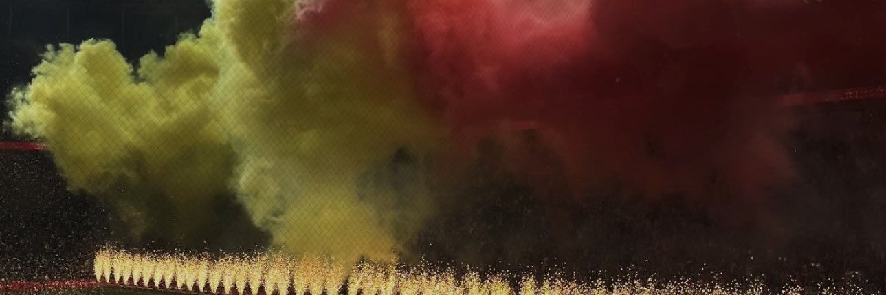 SARAy 🇧🇷 banner