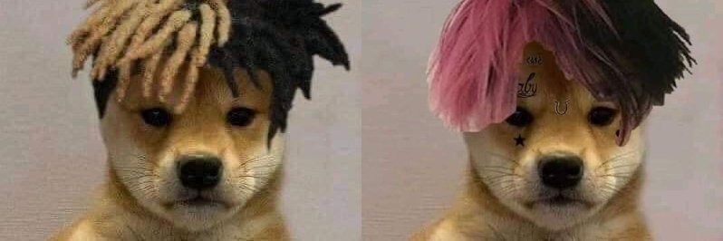 Kat banner