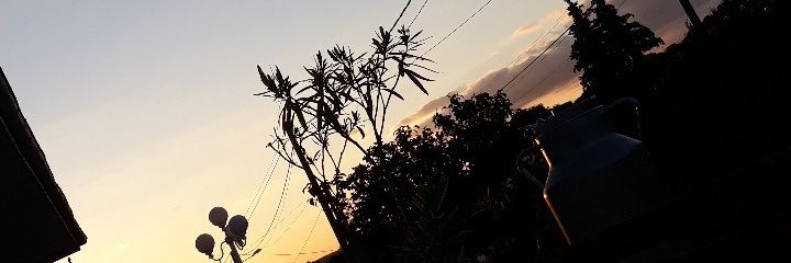 ClaraBlot's profile banner image