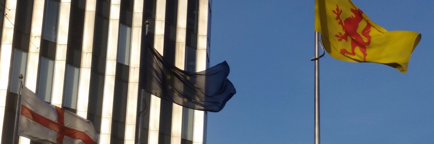 Enfield for Europe (EfE) 3.5% #FBPE Profile Banner