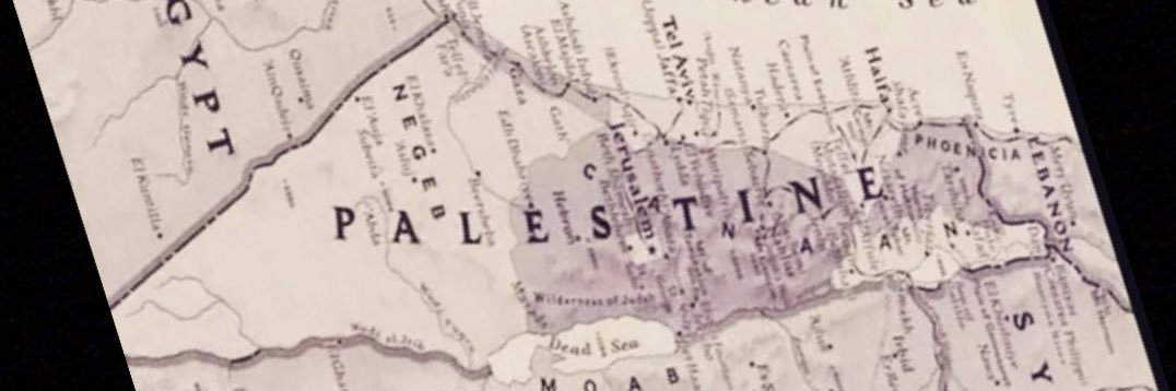 Redd 🇺🇸🇵🇸 banner