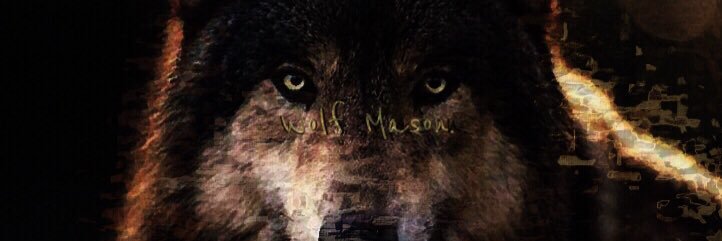 wolf_mason4's profile banner image