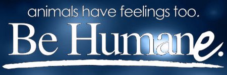 humanity323's profile banner image