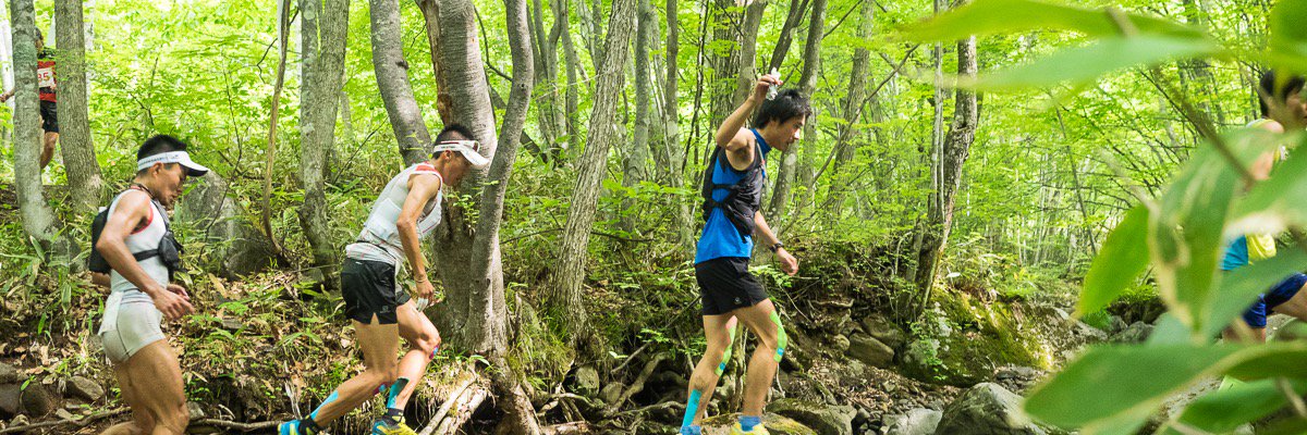 Dogsorcaravan banner