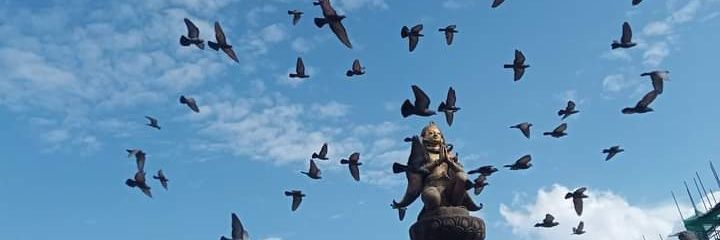 missan264's profile banner image