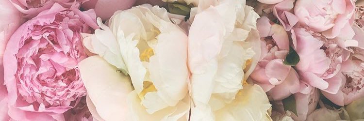 LeahWilliams_'s profile banner image