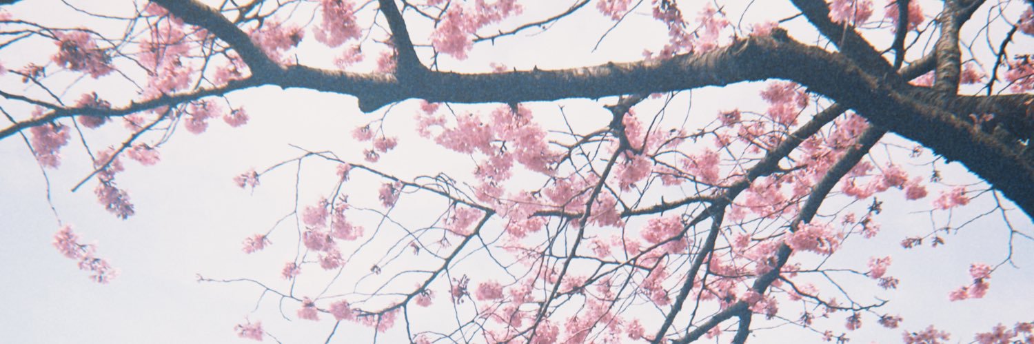 𝗻𝘂𝗯𝗻𝗶𝗯-𝗷𝗮𝗻𝗴 ⋆𐙚₊˚ banner