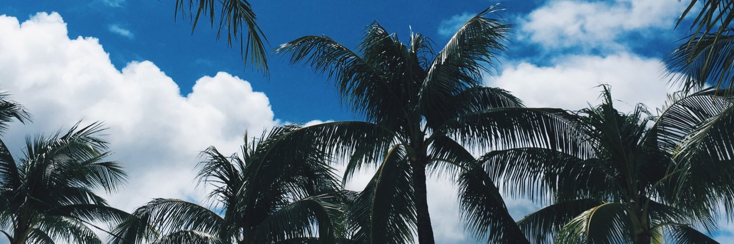 𝗝𝗼𝗻𝗮𝘇 𝗔. 𝗕𝗮𝗻𝘁𝗶𝗻𝗴 banner