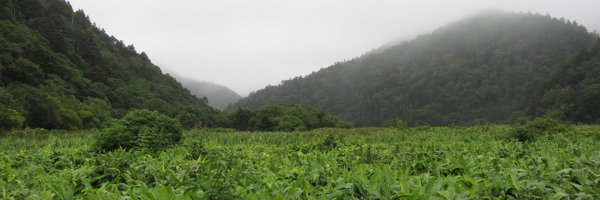 pasha_srv Profile Banner