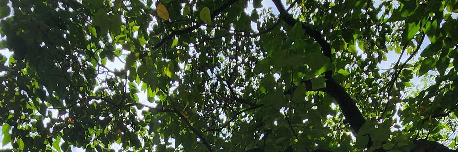 Christianomics's profile banner image