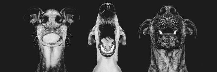 Alba_Dxb's profile banner image