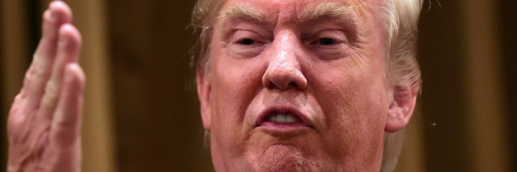 PeaTrump's profile banner image