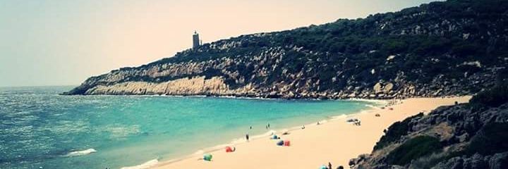 Ángel Piulestán banner