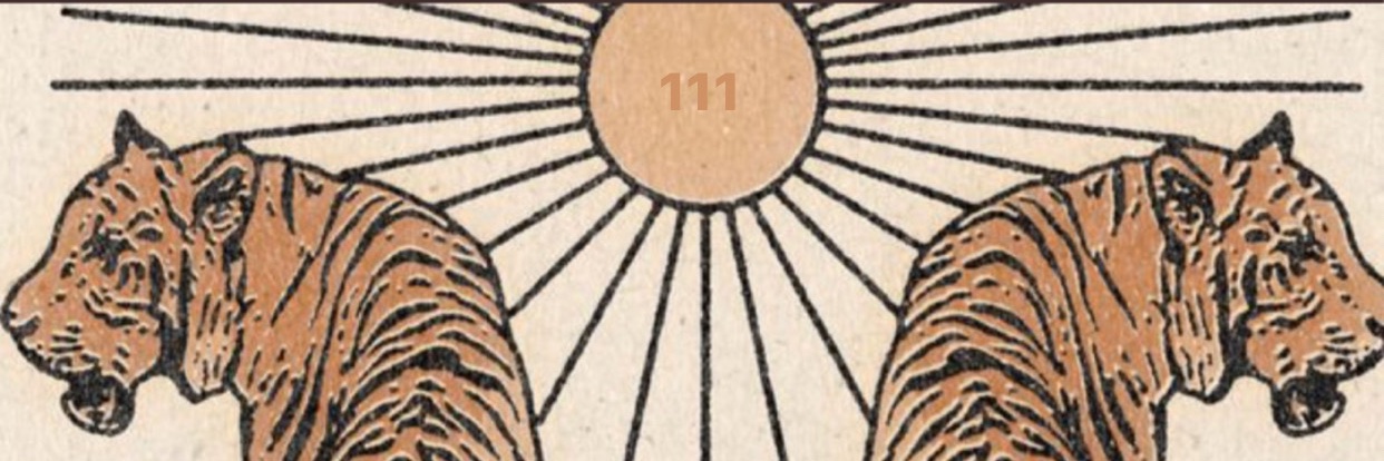 ira_tmr's profile banner image
