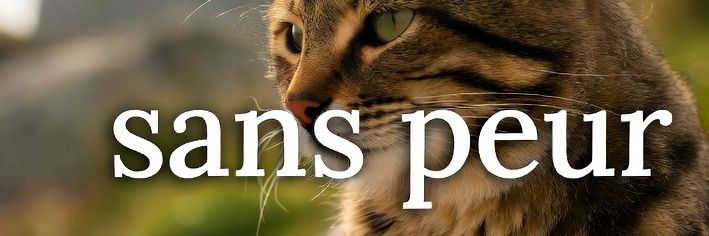 TimeTeamFella banner