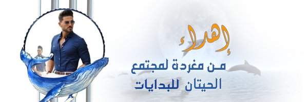_3M44 Profile Banner