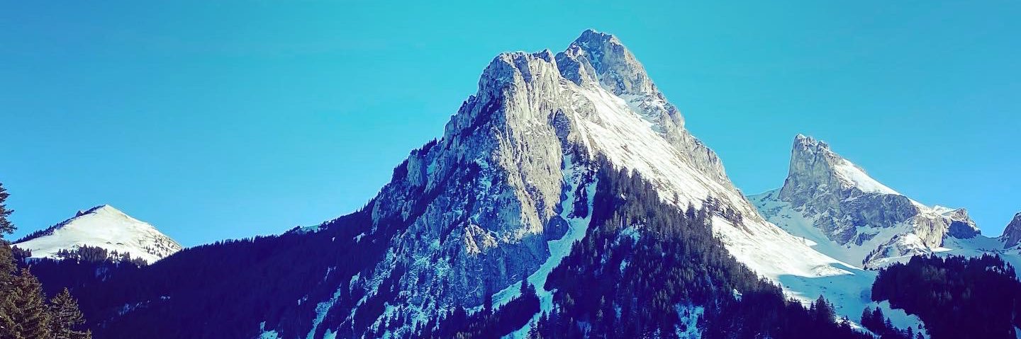 Céline Moille ⚖️⛓🇫🇷 banner