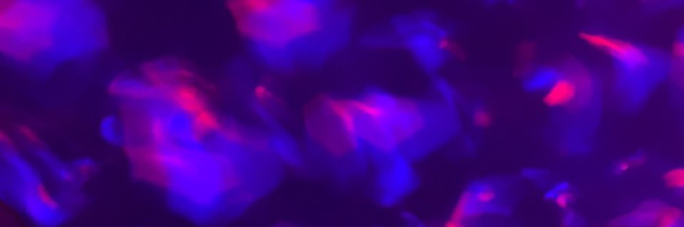 Manuella 🍉 banner