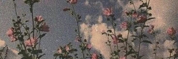 mony banner