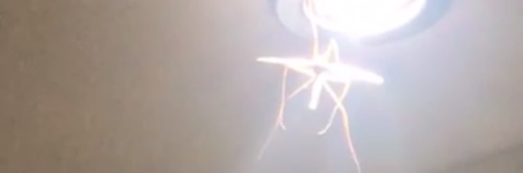 s a m banner