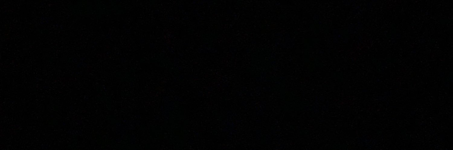 Donald “Big D Donny” Trump banner