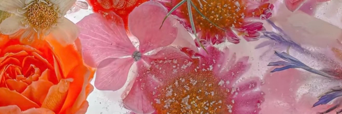 EmilySimmonds93's profile banner image