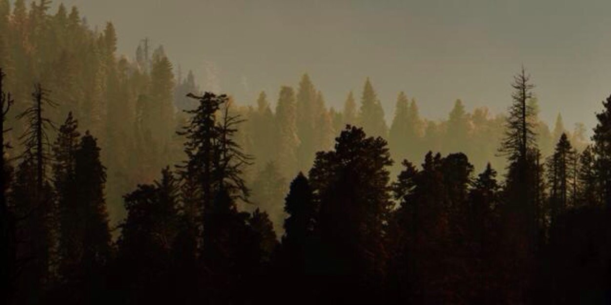 jakeoz6's profile banner image