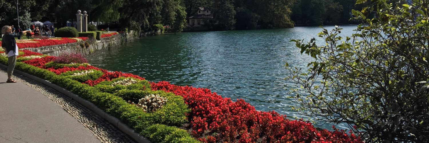 fscodesimone's profile banner image