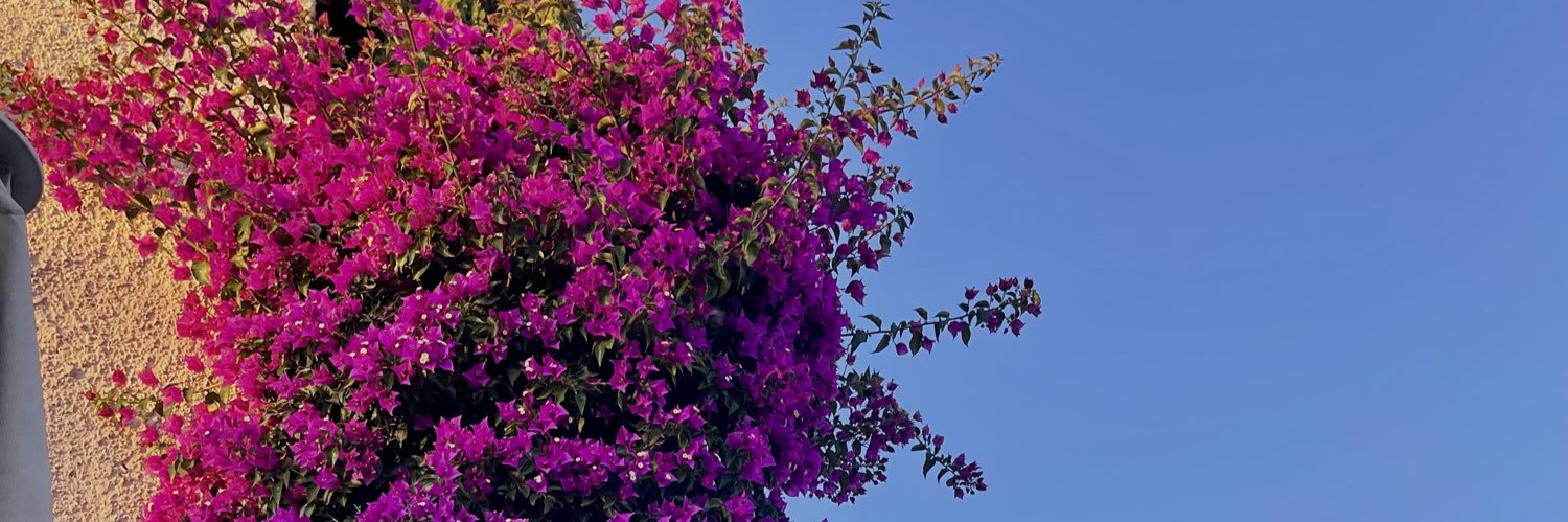 cerentavlan's profile banner image