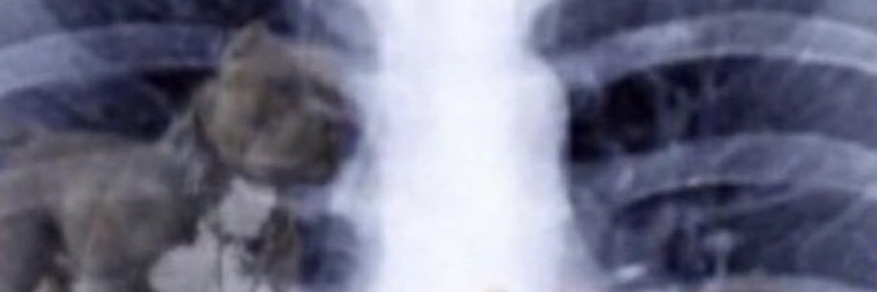zjohnson1999's profile banner image