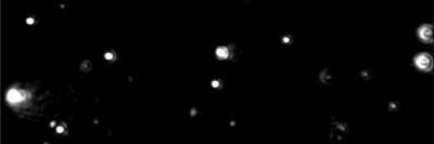 Daniel O'Reilly banner