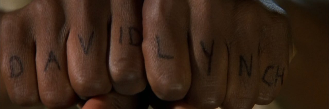 rooocio 𓆝 𓆟 𓆞 banner