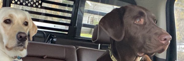 BissonTyler Profile Banner