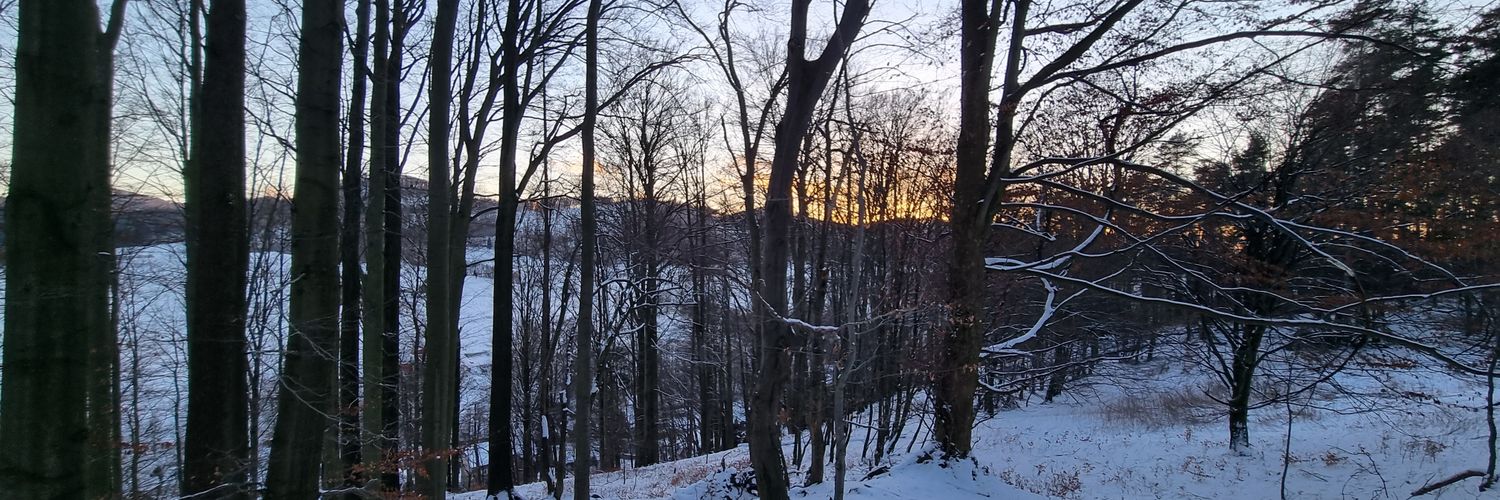 Martinus Leonidas banner