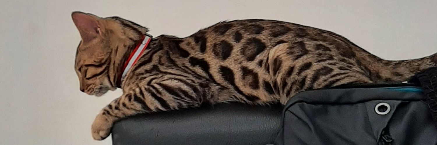 Argumen_Bacot's profile banner image