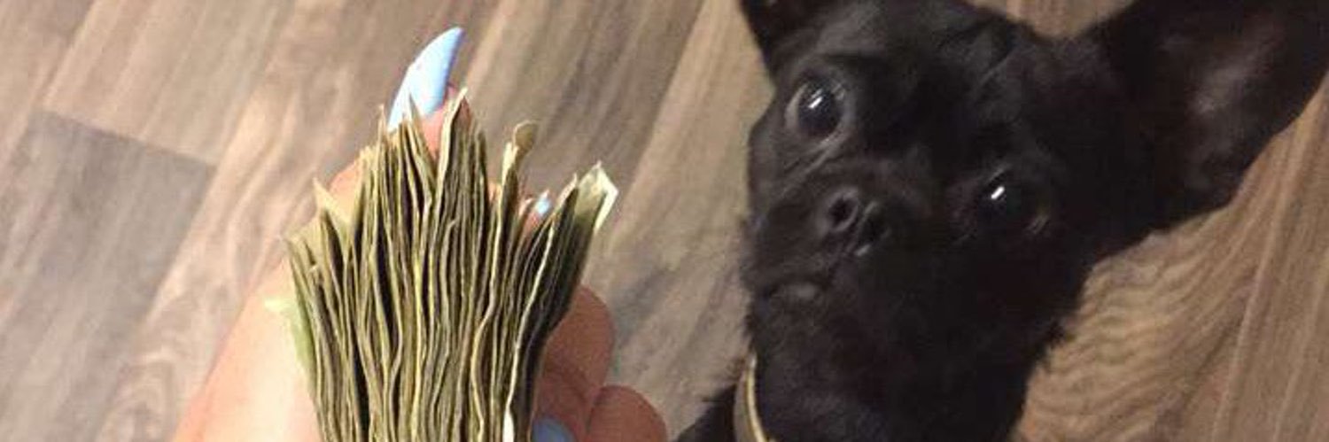 jsdr_'s profile banner image