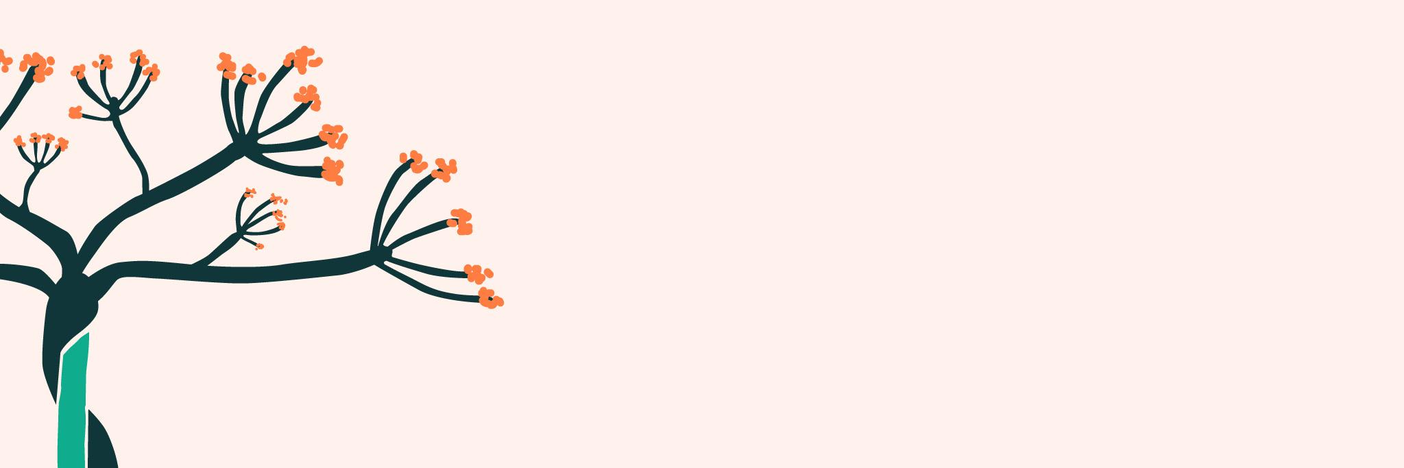 AniseedPR's profile banner image