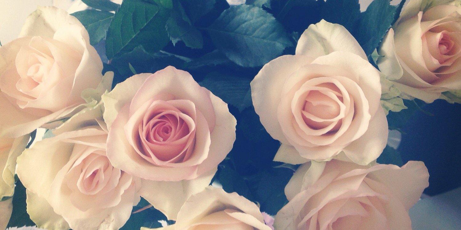TallentMary's profile banner image