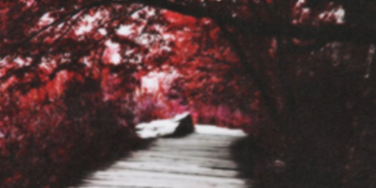 ele_cucciola99's profile banner image