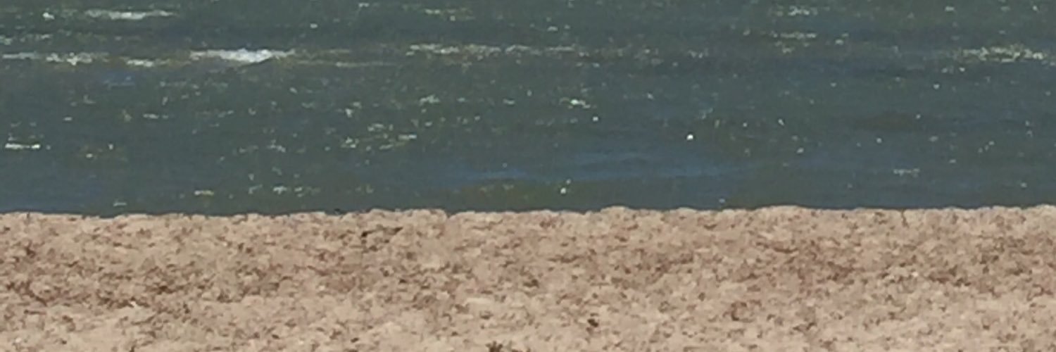 JoySavage17's profile banner image