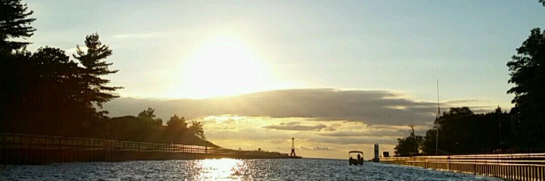 Katie Strickert banner