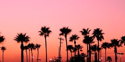 sonarlive's profile banner image