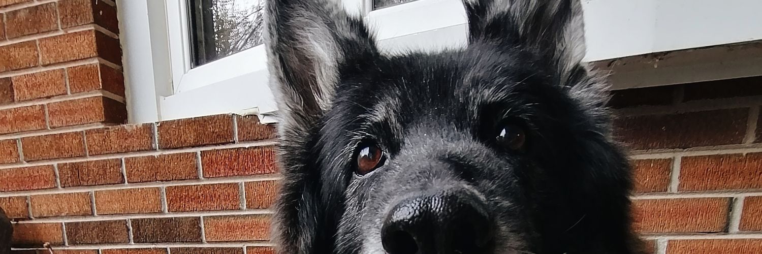 amylarabie's profile banner image