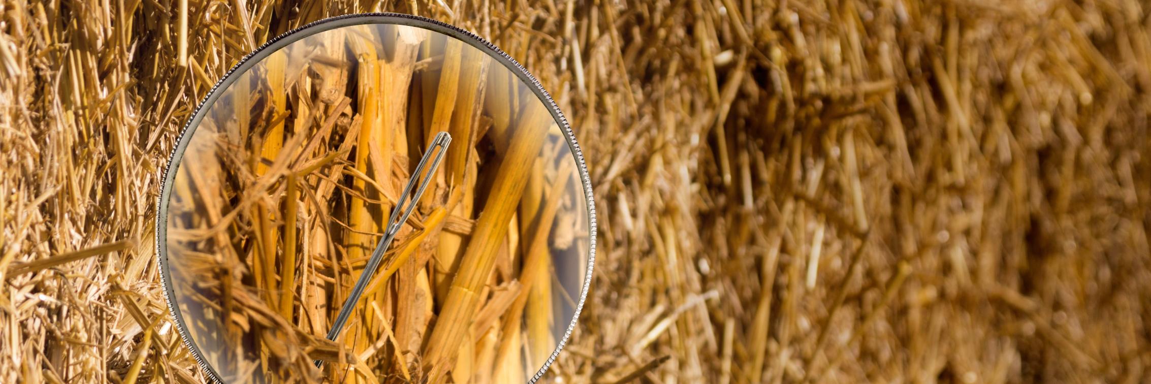 Forths Forensic banner