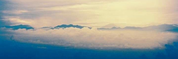 Algirivera's profile banner image