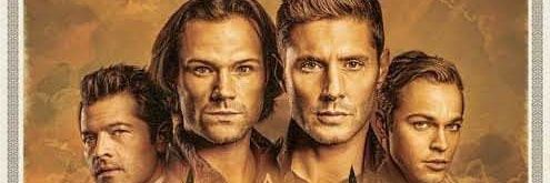 Pedro Henrique S. Santos banner