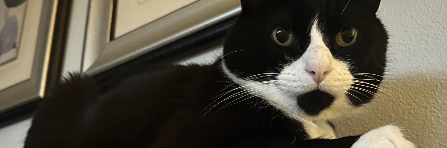 LeSlime_James's profile banner image