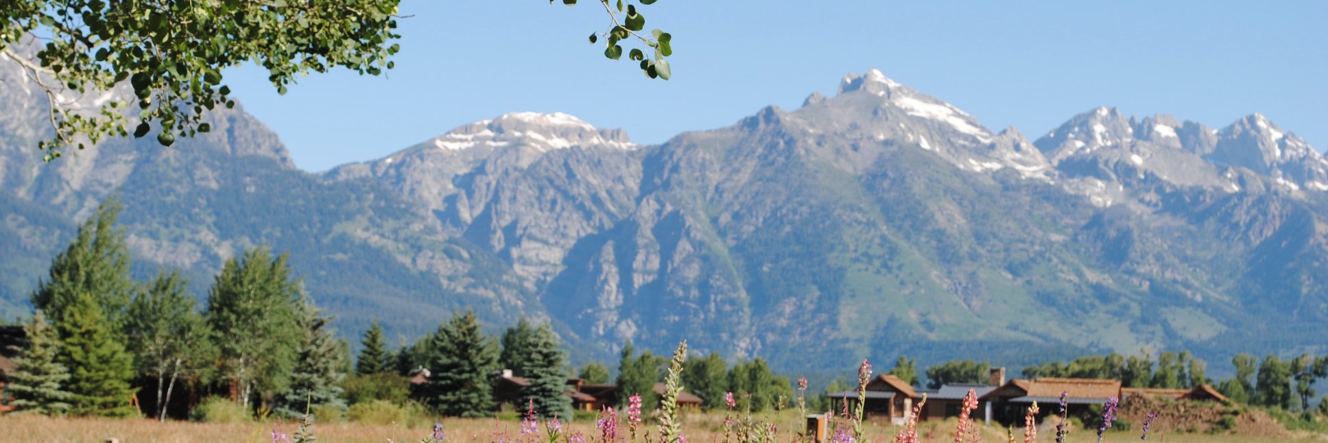 suestromberg's profile banner image