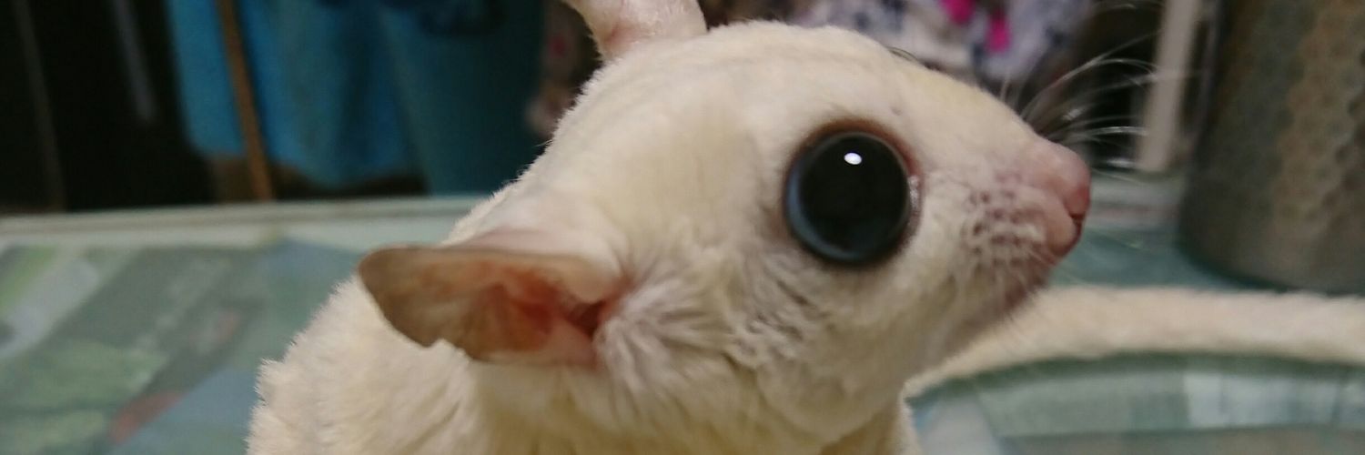 アニマルハウスももれっぷ　3月15日エキスポスーパーアリーナ出店 banner